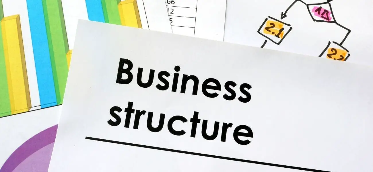 business structure