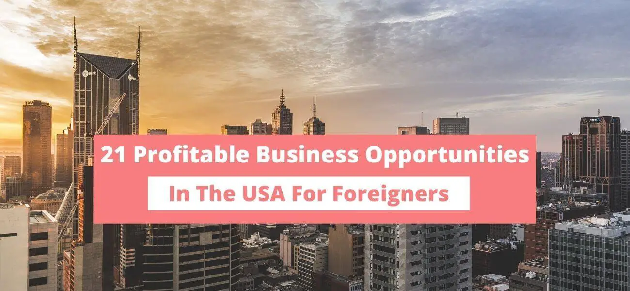 21 Profitable Business Opportunities in the USA for Foreigners