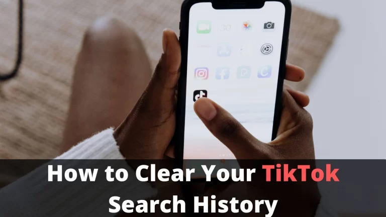 TikTok Search History